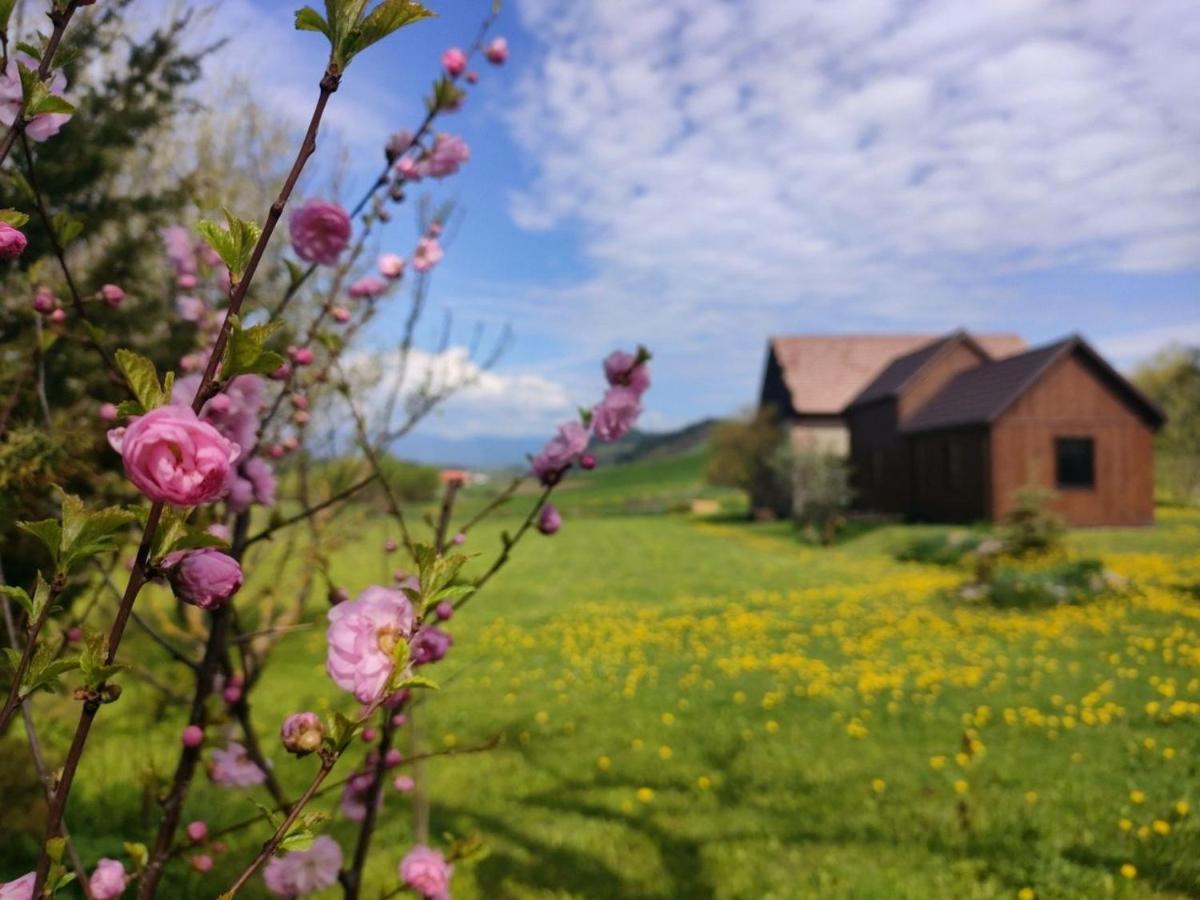 Organicle Lodge Sincraieni Esterno foto