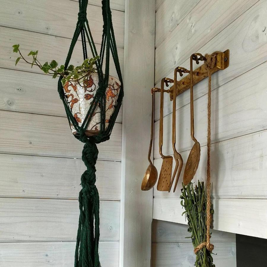 Organicle Lodge Sincraieni Esterno foto