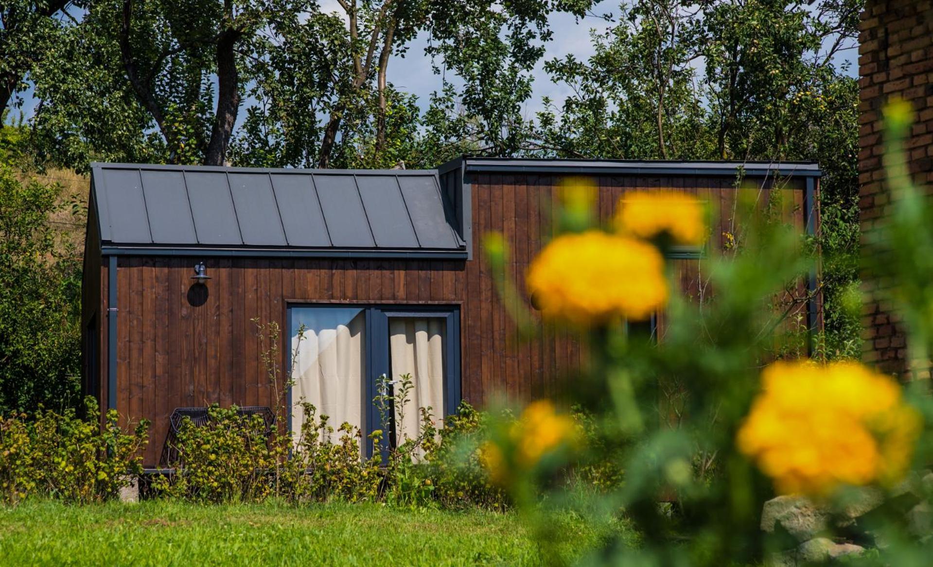 Organicle Lodge Sincraieni Esterno foto